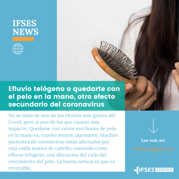 IFSES NEWS (3)